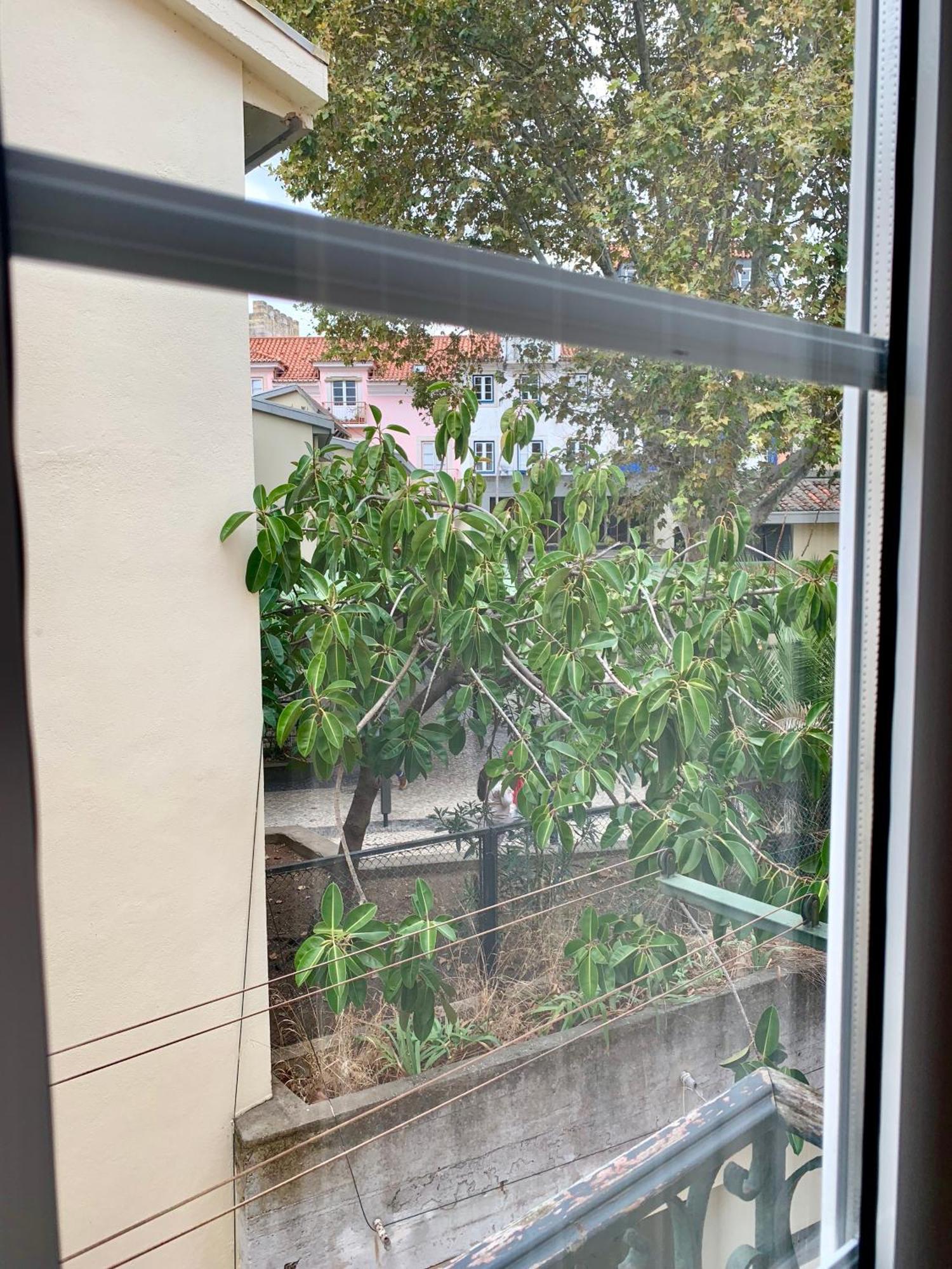 Apartments Center Castelo De Sao Jorge 리스본 외부 사진